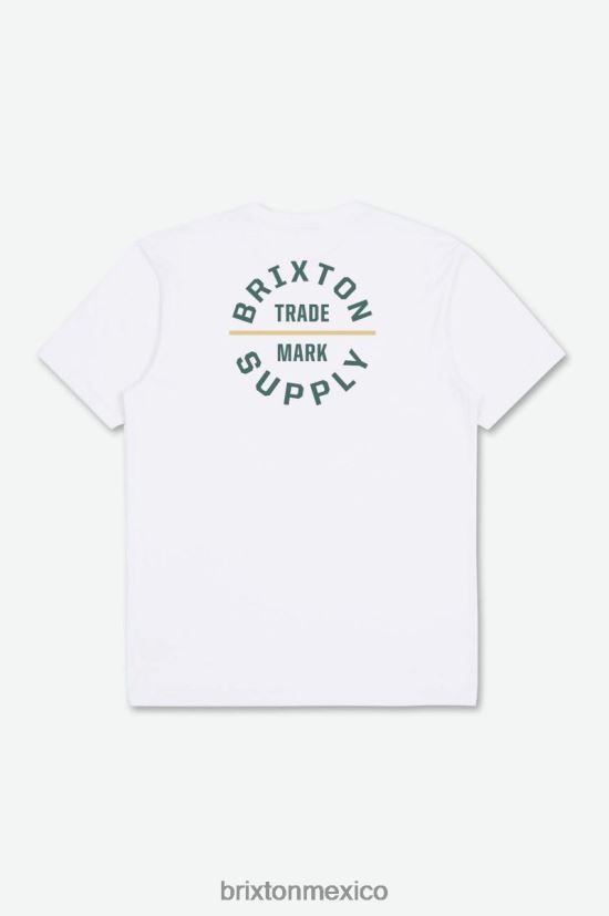 Brixton vestir blanco/abeto hombres juramento v s/s camiseta estándar DV42H31