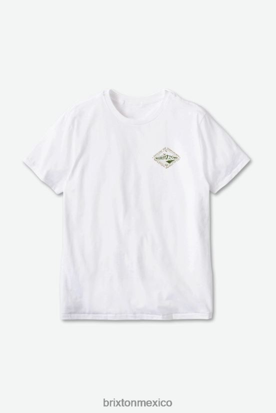 Brixton vestir blanco hombres camiseta estándar apalachin s/s DV42H83