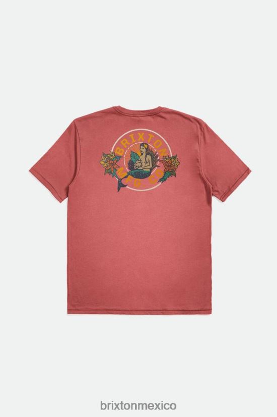 Brixton vestir lavado desgastado de cedro polvoriento hombres camiseta estándar ginebra s/s DV42H37