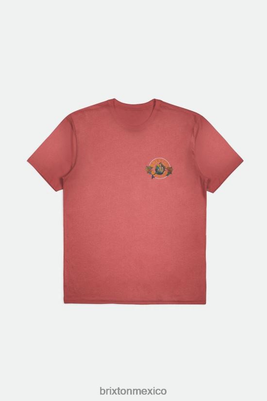 Brixton vestir lavado desgastado de cedro polvoriento hombres camiseta estándar ginebra s/s DV42H37