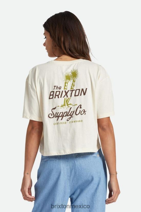 Brixton vestir gorra blanca mujer camiseta skimmer austin s/s DV42H440