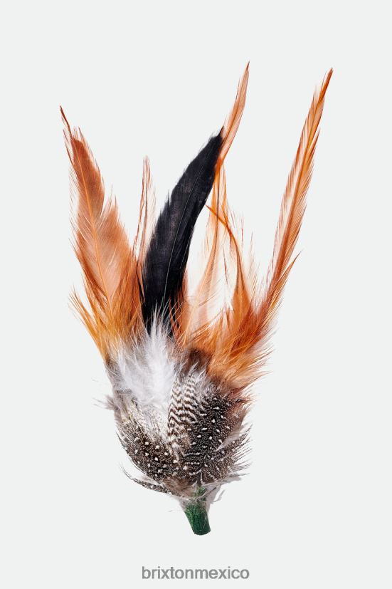 Brixton accesorios multi unisexo pluma del sombrero de kevin DV42H352