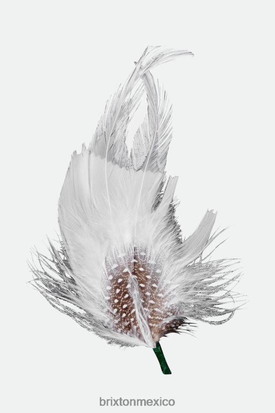 Brixton accesorios multi unisexo pluma del sombrero de robert DV42H351